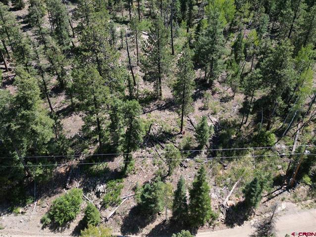 More Photos Of 48 Ponderosa Trl, Durango Land For Sale