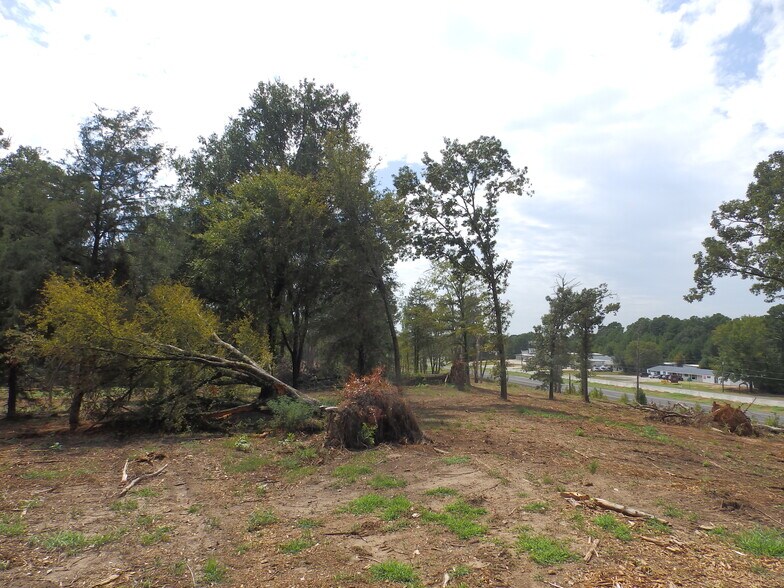 More Photos Of 16393 Highway 31, Tyler Land For Sale