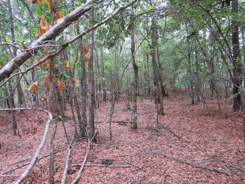 More Photos Of EVA. RD,, Little River Land For Sale