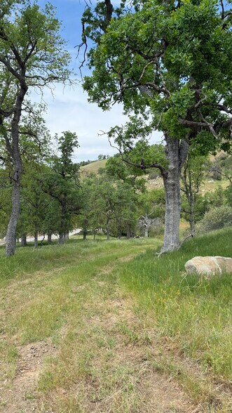 More Photos Of 14718 CA-155 Hwy, Glennville Land For Sale