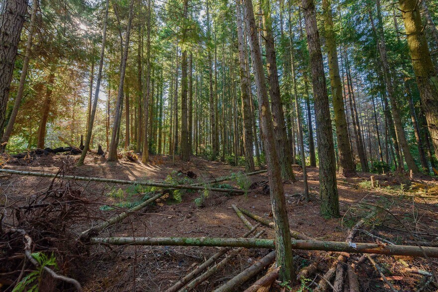 More Photos Of 0 Newmark ave, North Bend Land For Sale