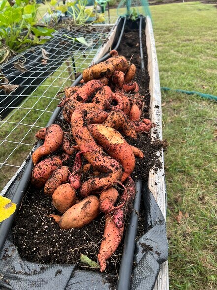 More Photos Of 552 Lick Creek Rd, Leasburg Land For Sale