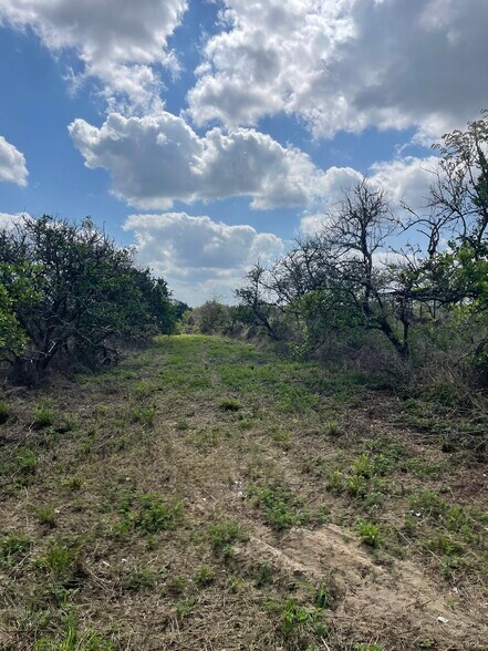 More Photos Of 16982 SE Highway 42, Weirsdale Land For Sale