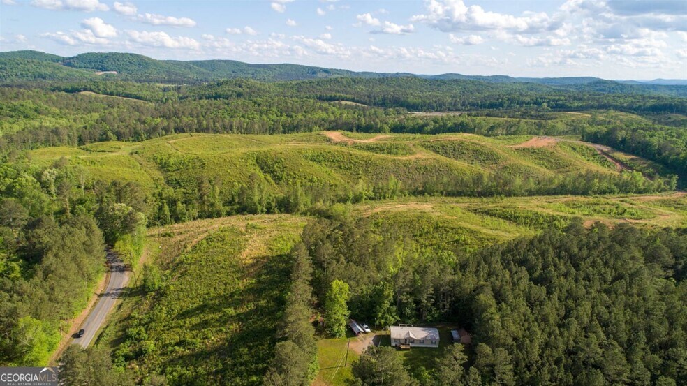 More Photos Of 0 Old Blacks Bluff Rd, Rome Land For Sale