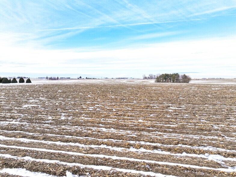 More Photos Of 220th St @ Carter Ave, Jesup Land For Sale
