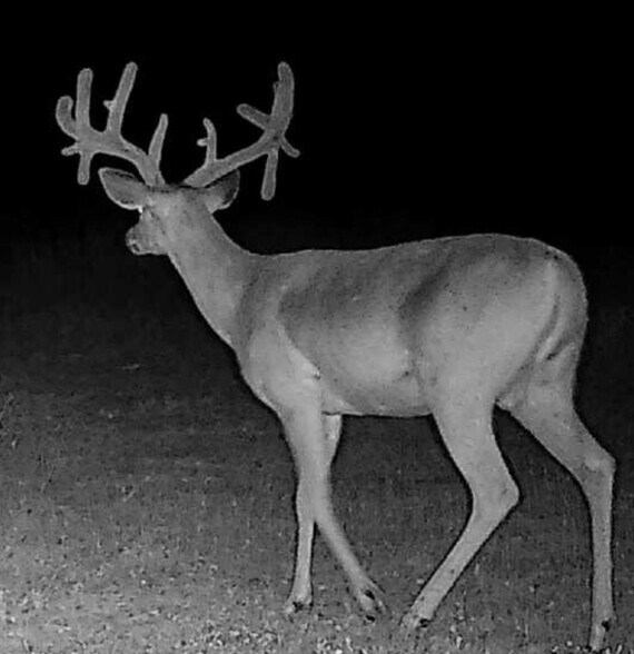 More Photos Of 4335 US-190, Rochelle Land For Sale