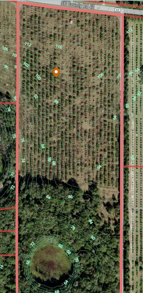 More Photos Of 16982 SE Highway 42, Weirsdale Land For Sale