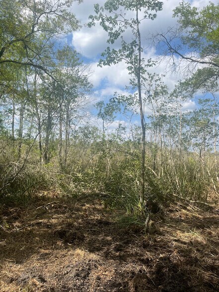 More Photos Of 0 Camellia, Crystal River Land For Sale