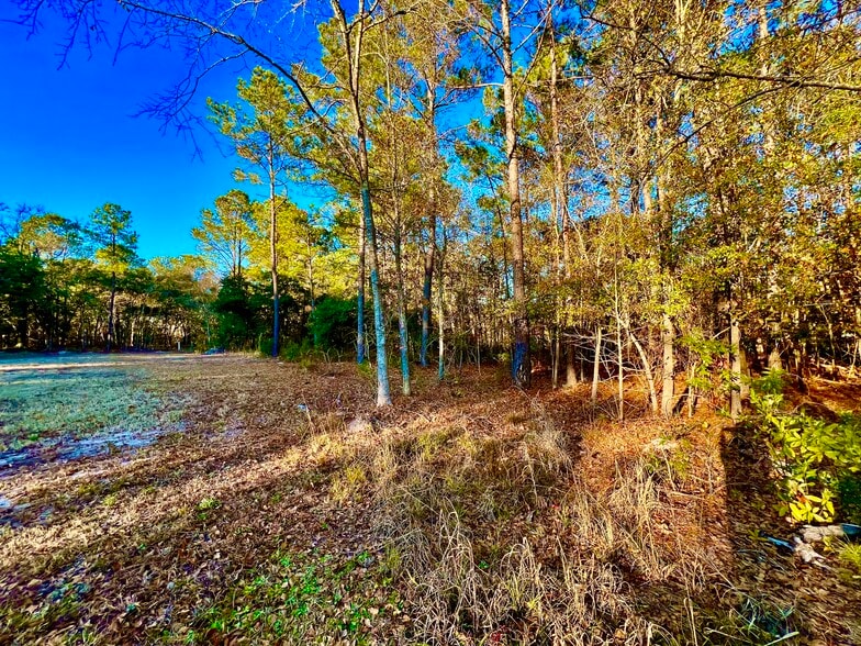 More Photos Of 20689 US Highway 17, Hampstead Land For Sale