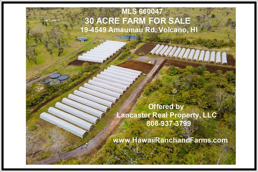 Primary Photo Of 19-4549 Amaumau Rd, Volcano Land For Sale