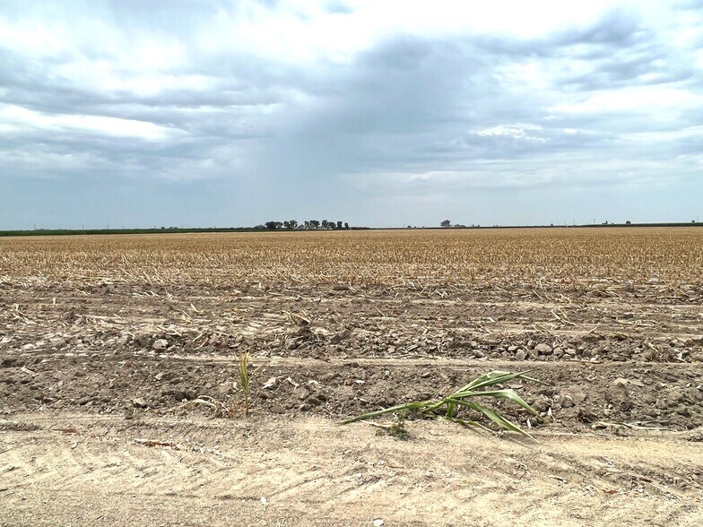 More Photos Of I Drive @ Avenue 196, Tulare Land For Sale