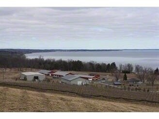 More Photos Of 6128 State Route 89, Romulus Winery Vineyard For Lease