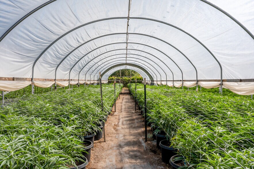 More Photos Of 2000 Clover Valley Rd, Upper Lake Land For Sale