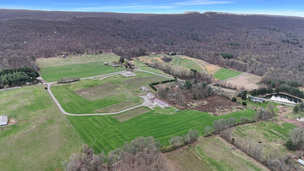 More Photos Of 596 Harman Rd, Halifax Winery Vineyard For Sale