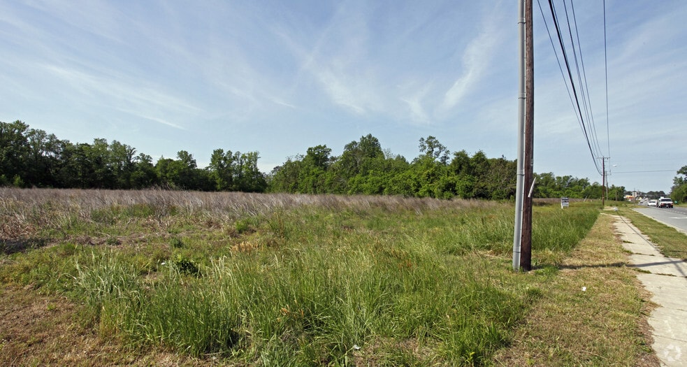 Primary Photo Of 3803 Bridge Rd, Suffolk Land For Sale