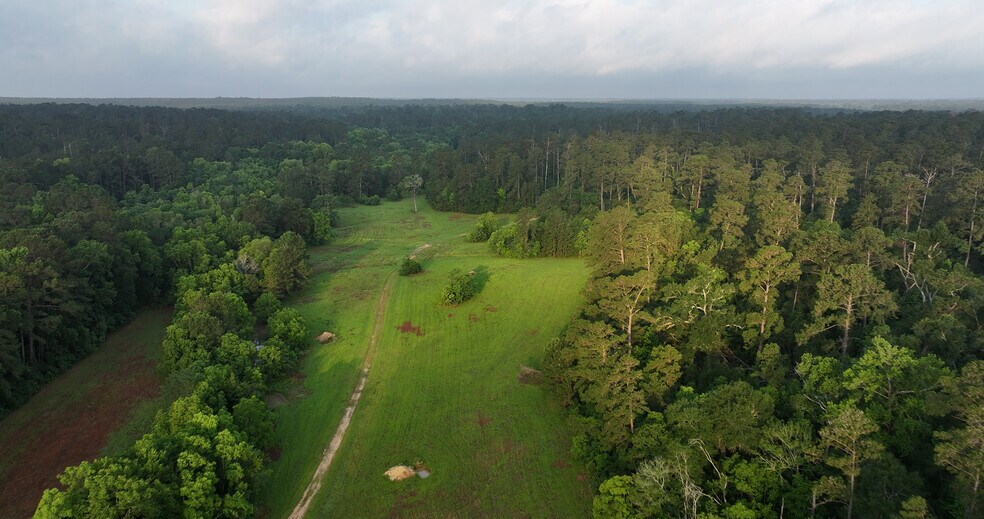 More Photos Of 2268 FM 1486, Montgomery Land For Sale