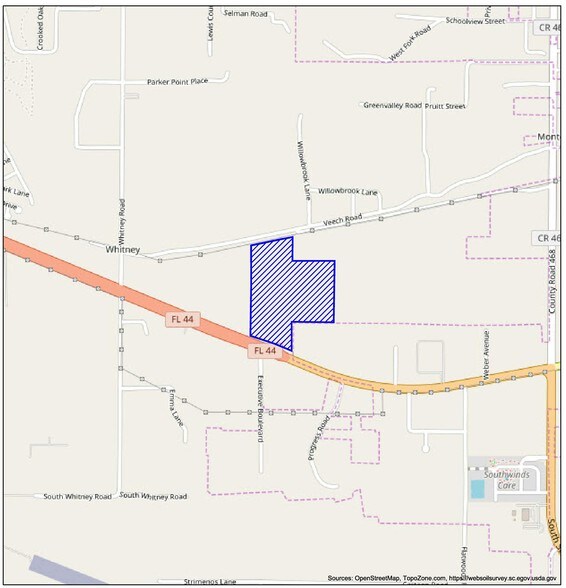 More Photos Of 1401 State Road 44, Leesburg Land For Sale