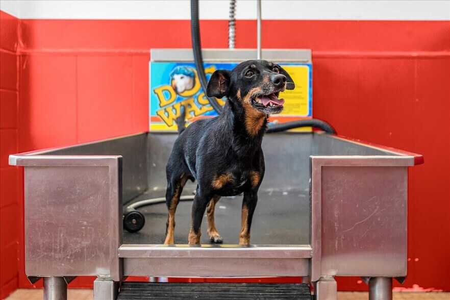 More Photos Of 1000 Shortcut Rd, Marine City Freestanding For Sale