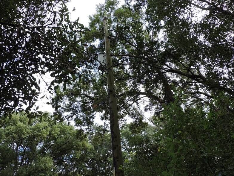 More Photos Of 2008 Nickerson Ln, Jacksonville Land For Sale