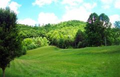 More Photos Of 850 Bluff Rd, Marble Land For Sale