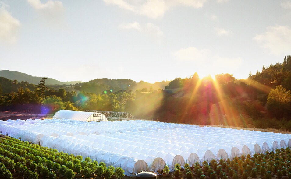 More Photos Of 220 Wilder Ridge rd, Honeydew Land For Sale