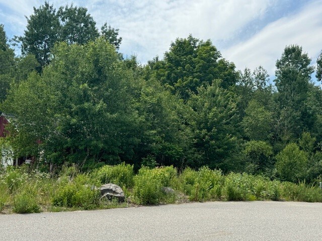 Primary Photo Of 430 Narragansett Trl, Buxton Land For Sale