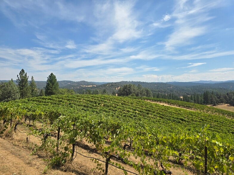 More Photos Of 4282 Pleasant Valley Rd, Placerville Specialty For Sale