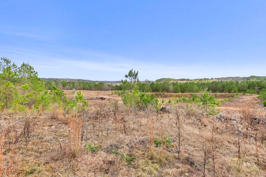 More Photos Of 16.31+/- AC Franklin Parkway Franklin GA 30217, Franklin Land For Sale