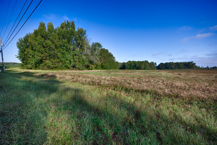 More Photos Of 20Acres Manley Rd, Hazel Green Land For Sale
