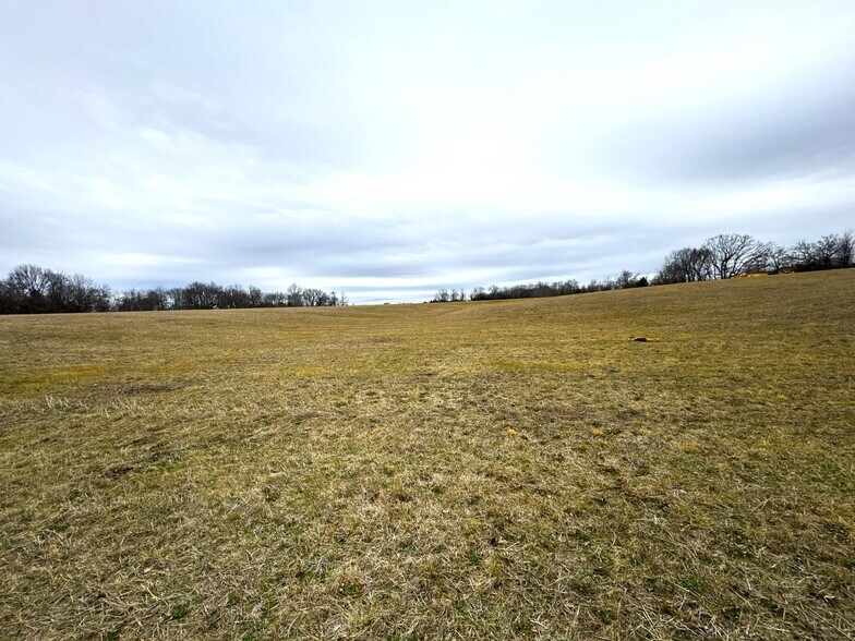 More Photos Of 000 State Highway EE (8 Acres), Ozark Land For Sale