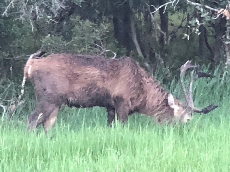 Primary Photo Of 5734 County Road 305, Beeville Land For Lease