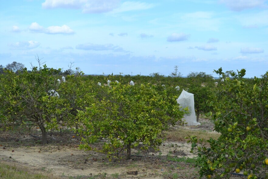 More Photos Of Scenic Highway, Babson Park Land For Sale