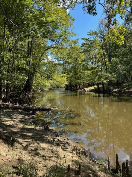 More Photos Of Dynamic Webster Parish, Sarepta Land For Sale
