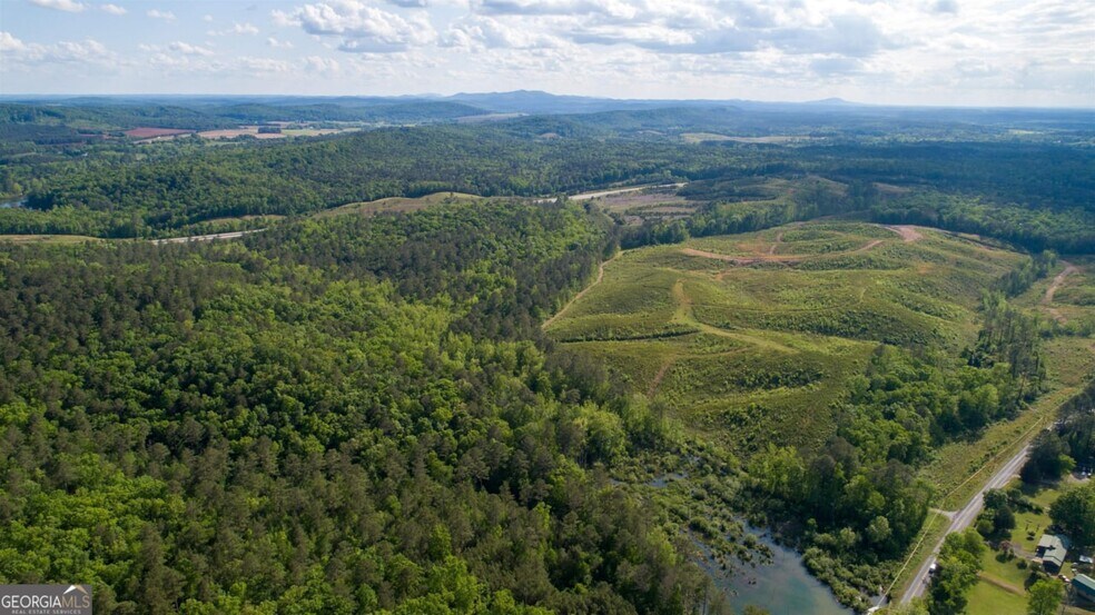 More Photos Of 0 Old Blacks Bluff Rd, Rome Land For Sale
