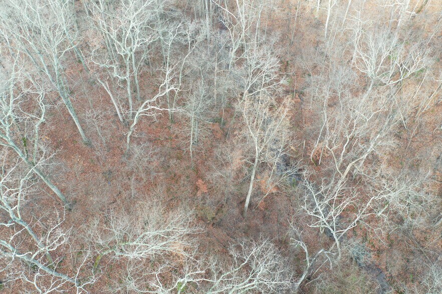 More Photos Of 155 White Fox Trl, Harpers Ferry Land For Sale