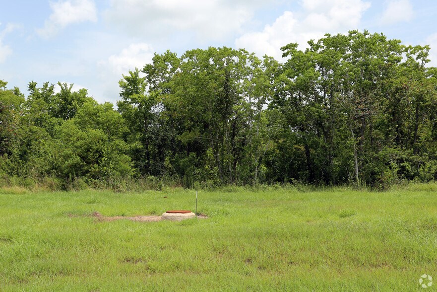 Primary Photo Of 0 SH 6, Manvel Land For Sale