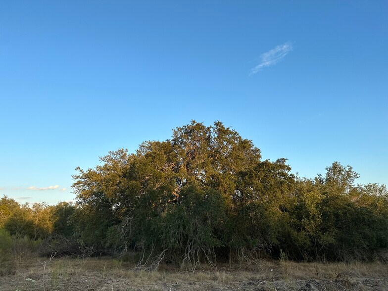 Primary Photo Of 00 Hwy 90 w, Castroville Land For Sale