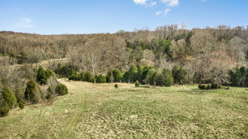 More Photos Of 296 Koontz, Mocksville Land For Sale