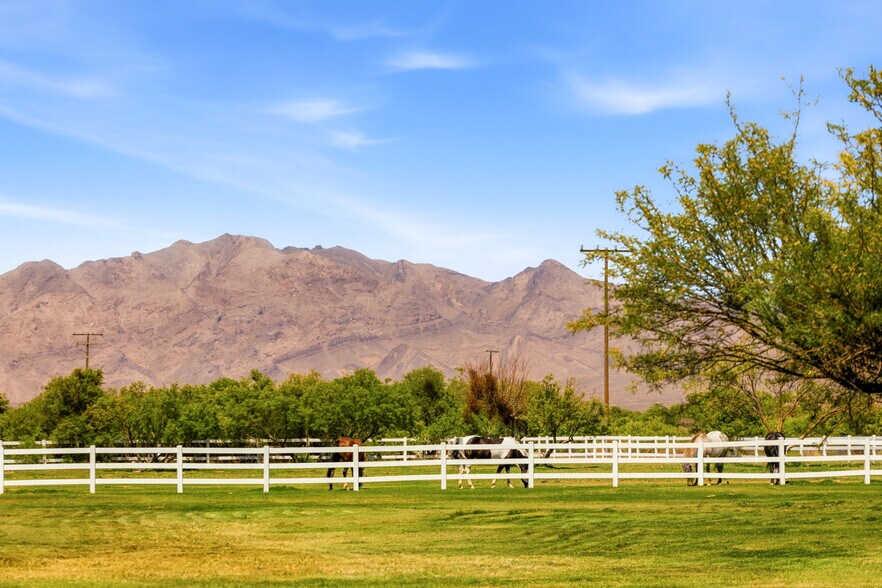 More Photos Of Cactus Rd & Brookmore Rd, Baker Land For Sale