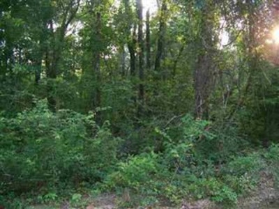 Primary Photo Of 0 Miles Rd, Cochran Land For Sale