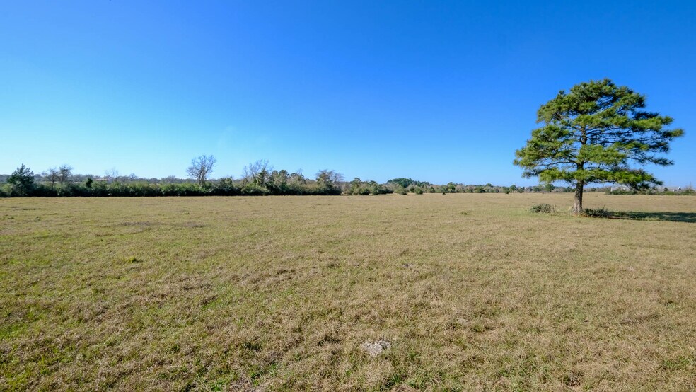 More Photos Of 26266 Fields Store Rd., Waller Land For Sale