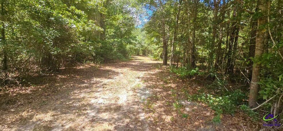 More Photos Of 21.20 Acres Priest Road, Vienna Land For Sale
