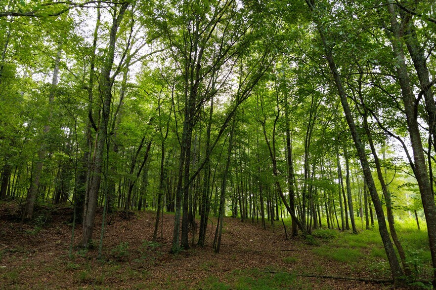 More Photos Of 2199 Roosterville Rd, Roopville Horse Stables For Sale