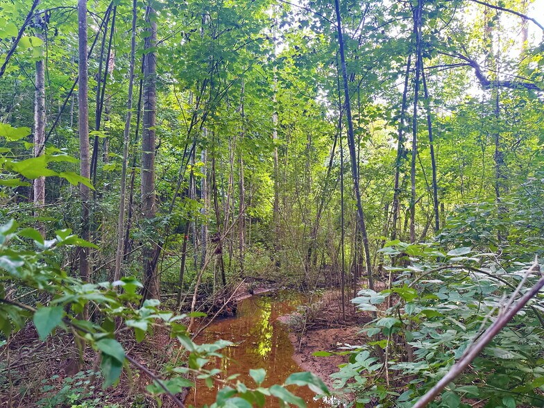 More Photos Of 00 221 Highway South Hwy, Laurens Land For Sale