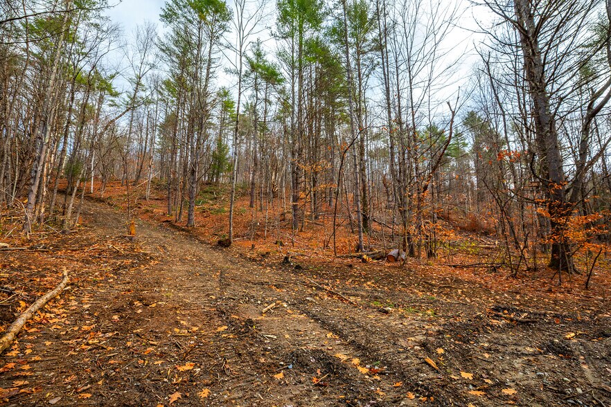 More Photos Of 40 E Putney Brook Rd, Putney Land For Sale