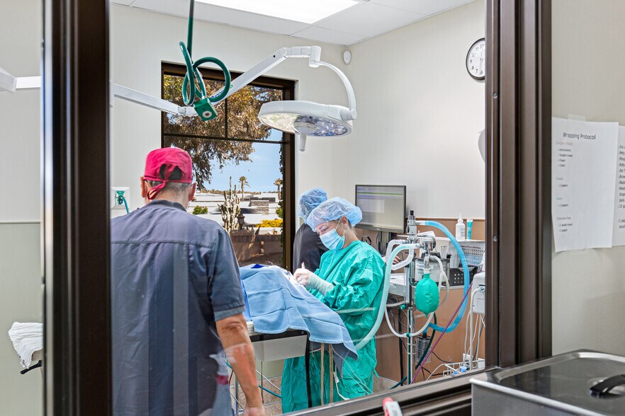 More Photos Of 6909 E Lincoln Dr, Paradise Valley Veterinarian Kennel For Sale