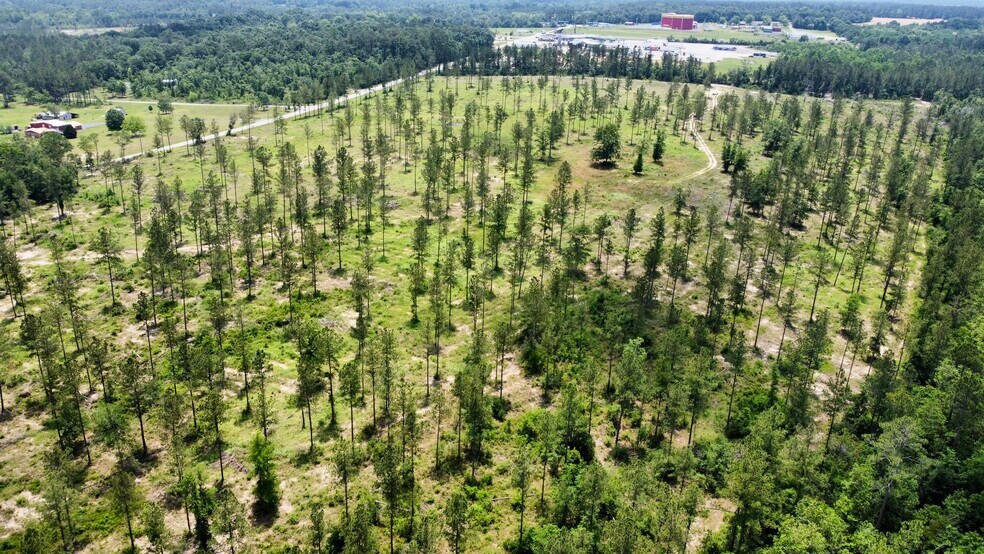 More Photos Of County Road 64, Robertsdale Land For Sale