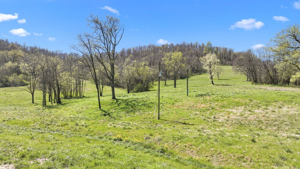 More Photos Of 0 McLaughlin Rd, Shelbyville Land For Sale