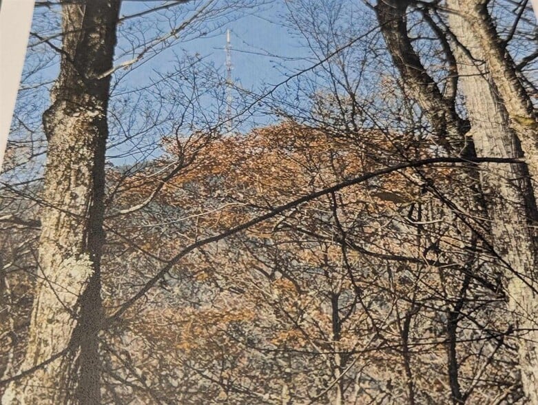 More Photos Of 1928 VT-131, Springfield Land For Sale