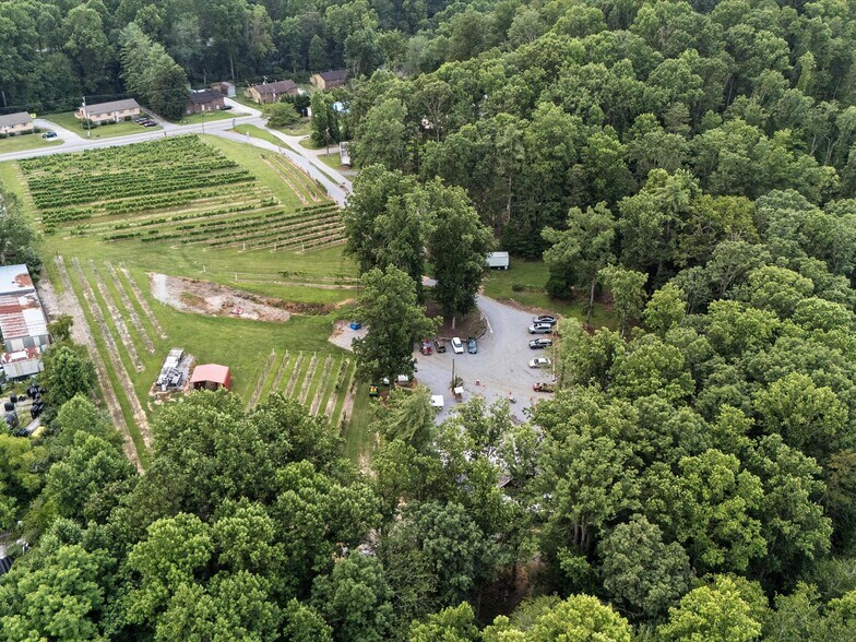 More Photos Of 124 Sandy Hill Ln, Hendersonville Winery Vineyard For Sale